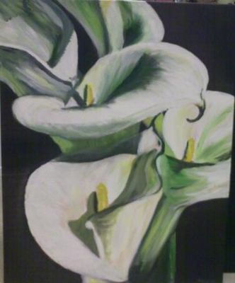 Calla