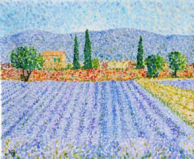 Lavendelmarker, Provence
