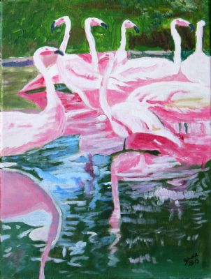 Flamingo-spejling