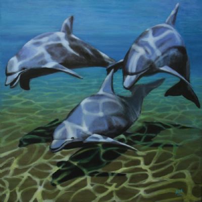 Three dolphins