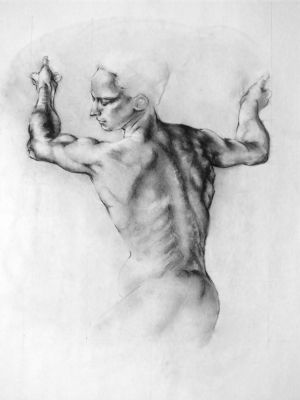 Study_Michelangelo