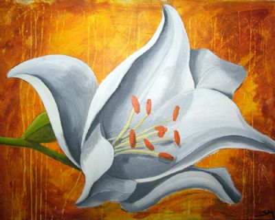 hvid lilje
