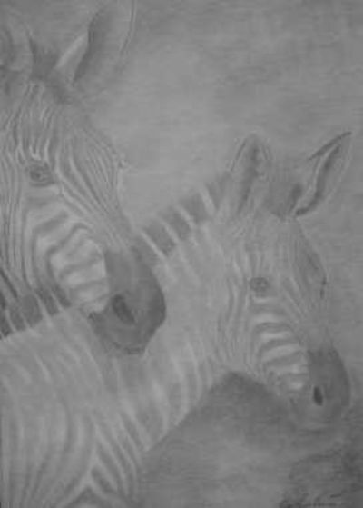 Zoo Zebra mor og barn