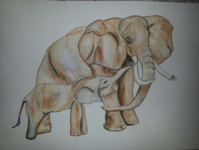 Elefant