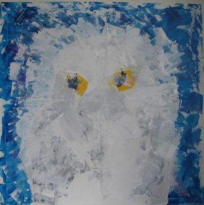 Snowy Owl 