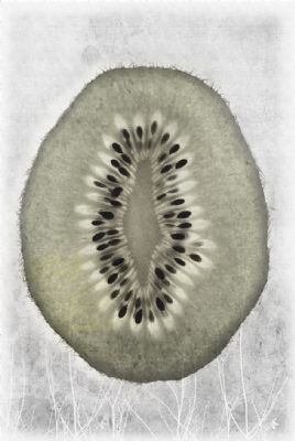 Vintage fruit- Kiwi