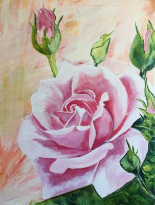 lyserød rose 3