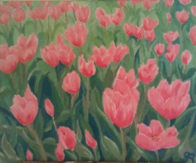 Tulipaner tulipaner