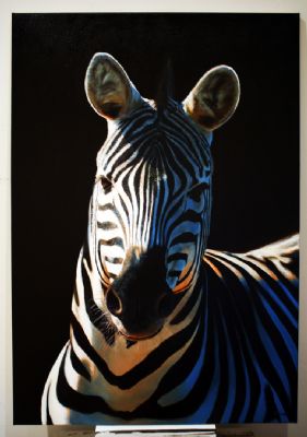 Zebra (Ud af mørket serie). Privateje