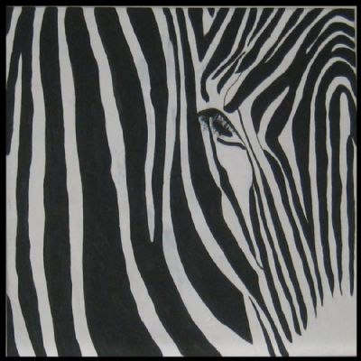 zebra 