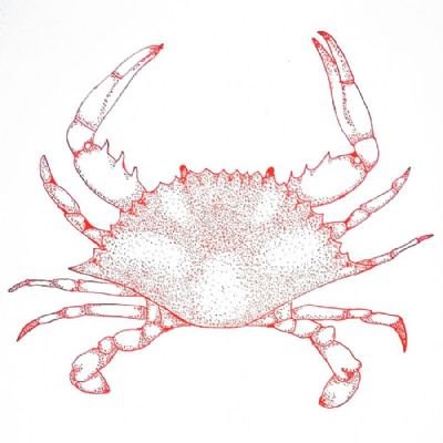 Crab