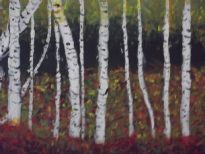 Birch trees