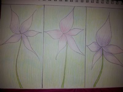 3 flowers