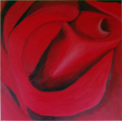rød rose
