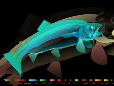 Fish - hndtegnet p iPad