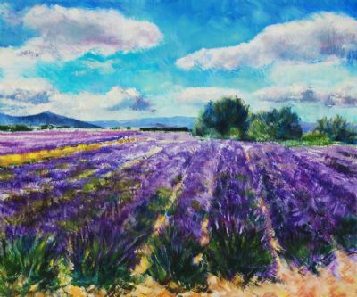 Lavendel mark Provence (Solgt)