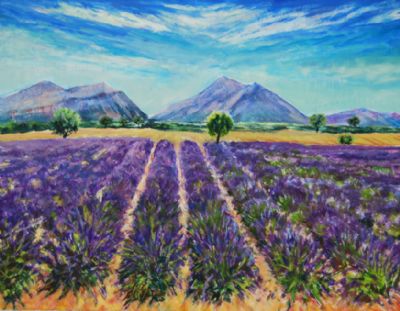 Lavendel i modlys Provence