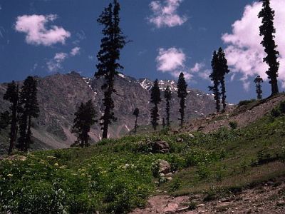 kaghan dalen 1 - pakistan