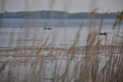 kerteminde fjord...