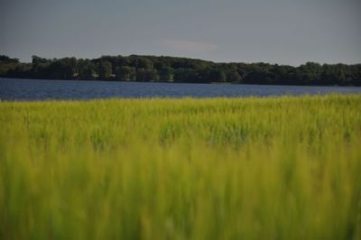 'kerteminde fjord'...