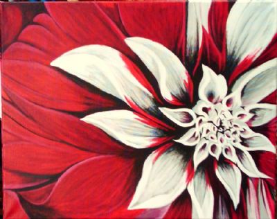 Red Dahlia