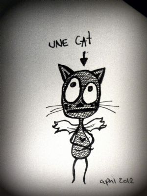 une cat