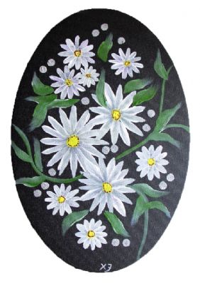 Daisy Flowers