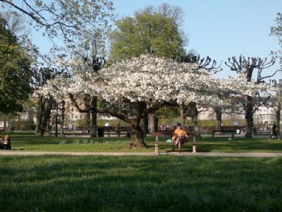 sknheden i naturen