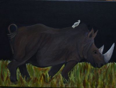 A rhino crossing my way