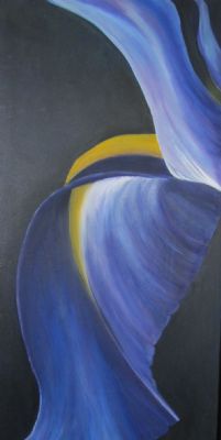 blue iris study