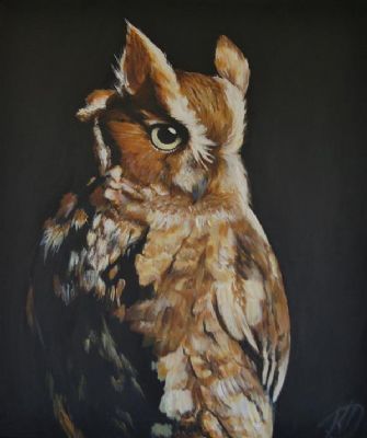 owl