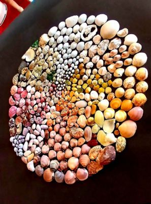 circle of sea shells...Cirklen lavet af