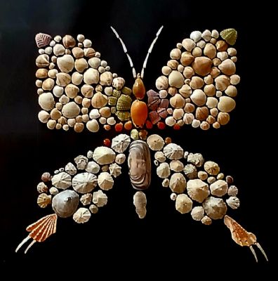 BUTTERFLY Seashell art