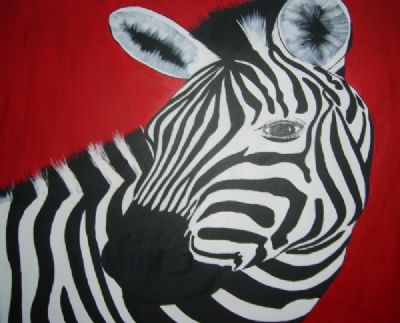 ny Zebra