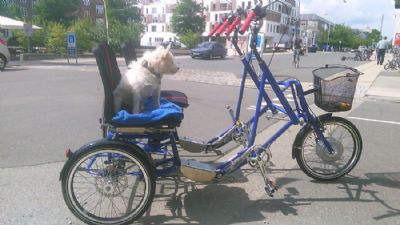 Ny parallelcykel til Hellerup.