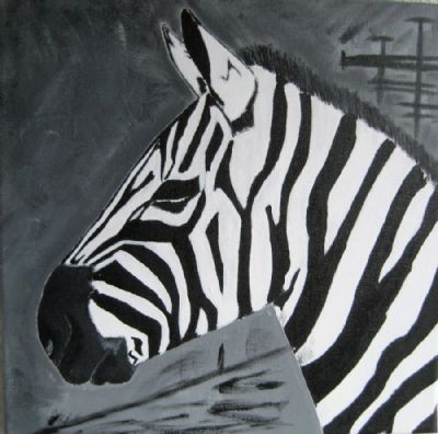 Zebra