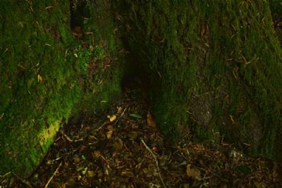 The Cave (part 1)