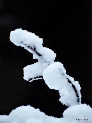 Vinterens skulptur