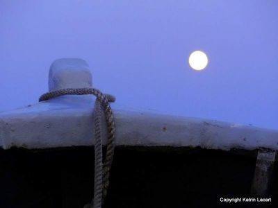 Boat in the moonlight