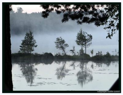 Lake in the morning