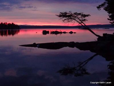 Reflections in the lake