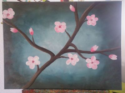 Cherry Blossoms