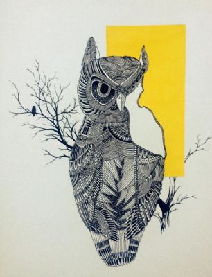 owl