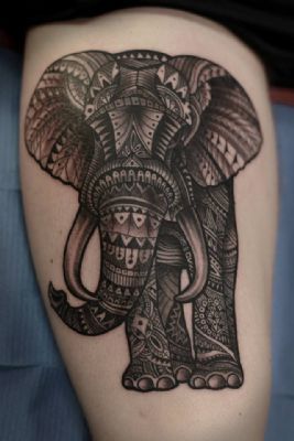 elephant