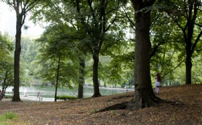 Central Park, NY 2012