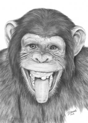 Happy monkey