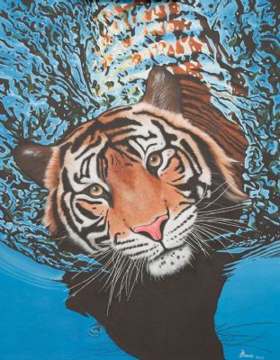 Tiger Splash