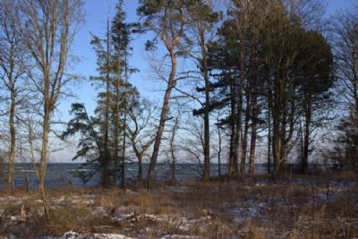 vinter