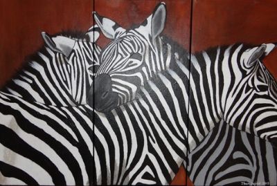 Zebras