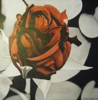 Red Rose